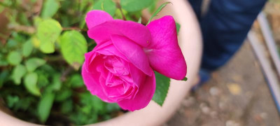 IMG_20211003_101543.jpg