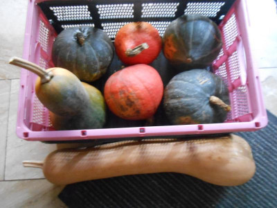 DSCN3128.JPG