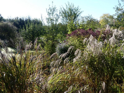 2021_1007AnfangOktoberII0067.JPG