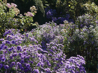 2021_1007AnfangOktoberII0114.JPG