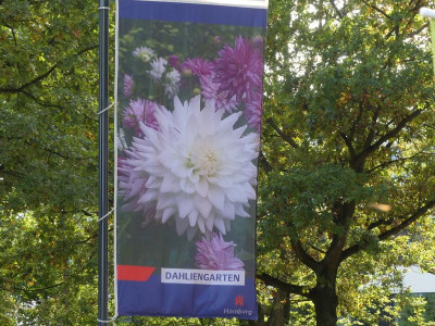 2021_1007HH2021Dahliengarten0169.JPG