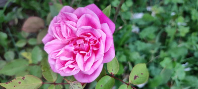 IMG_20211006_180554.jpg