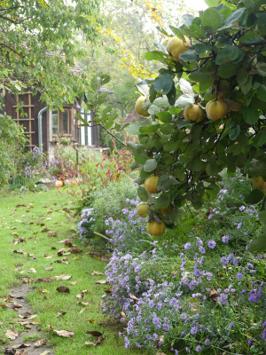2021-10-08 Gartenimpressionen 1.jpg