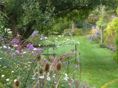 2021-10-08 Gartenimpressionen 4.jpg