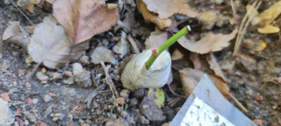 IMG_20211009_145946.jpg