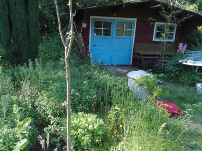GartenhausNadelbaum.jpg