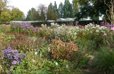 Berggarten.21-9.jpg