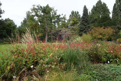 Berggarten.21-16.jpg