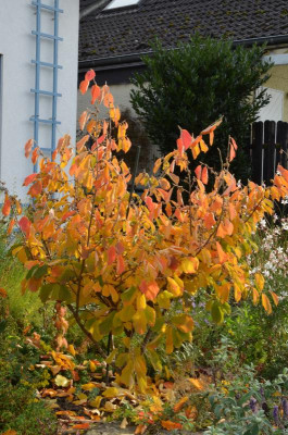 DSC_2760.JPG
