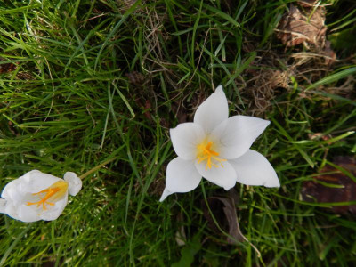 DSCN3357.JPG