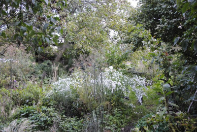 _DSC0511.JPG