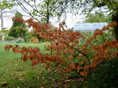 tg_211012.jpg