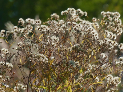 2021_1012MitteOktober0063.jpg