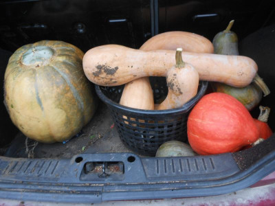 DSCN3165.JPG