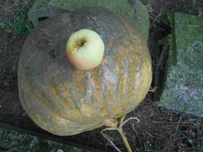 DSCN3170.JPG