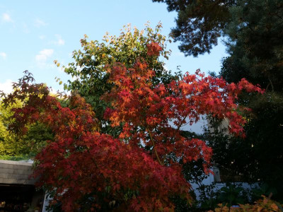 20211015181835.JPG