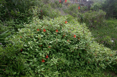 Palmex_II_3408.jpg