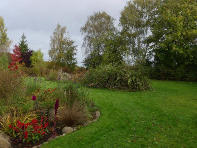 2021_1016MitteOktober10266.jpg