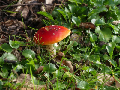 2021_1016MitteOktober10252.jpg