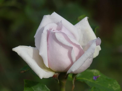 2021_1016MitteOktober10089.jpg
