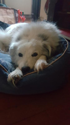 20201218_151431.jpg