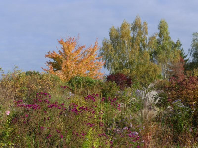 2021_1016MitteOktober10199.JPG