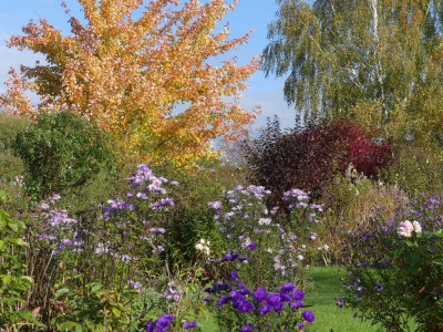 2021_1016MitteOktober10237.JPG