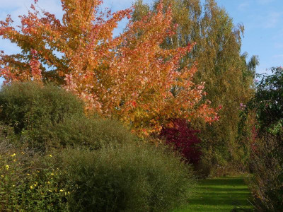 2021_1016MitteOktober10245.JPG