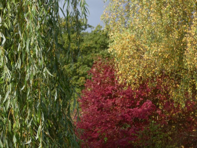 2021_1016MitteOktober10258.JPG