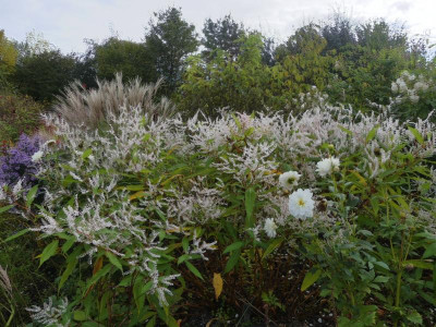 2021_1016MitteOktober10274.JPG