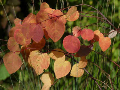2021_1016MitteOktober10026.jpg