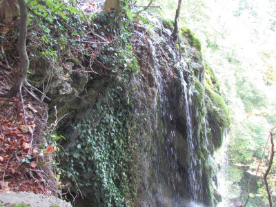 B Wasserfall Nase Efeu.JPG