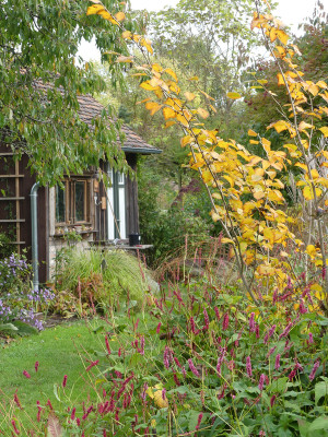 2021-10-17 Gartenimpressionen 1.jpg
