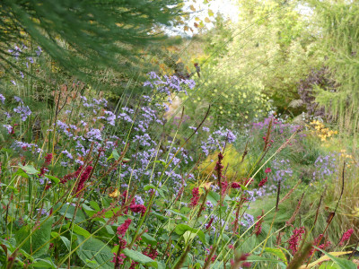 2021-10-17 Gartenimpressionen 7.jpg
