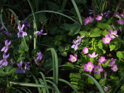 DSCF6114.JPG