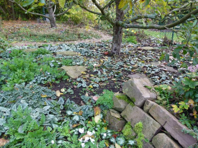 P1180774.JPG