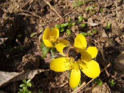 DSCF9799.JPG