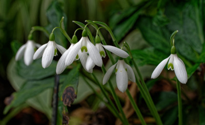 DSC_3173_DxO.jpg