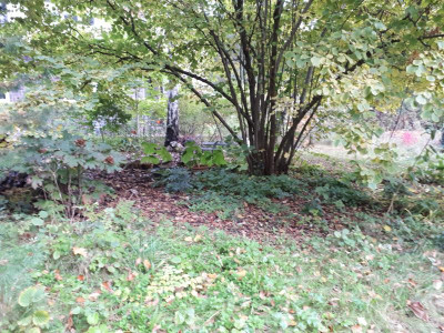 20211019_080740.jpg