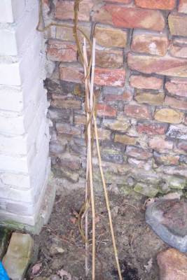 K640_100_4840.JPG
