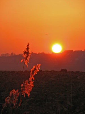 SUNSET_I_DI_190208.jpg