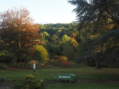 PA190012_1000px.jpg