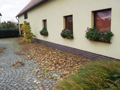 Dreck 21.10.21 ue.JPG
