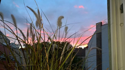 WP_20211023_07_21_52_Pro.jpg