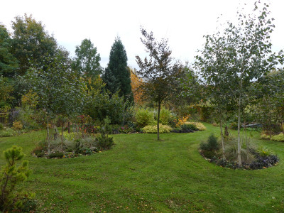 2021-10-23 Birkenhain 1.jpg