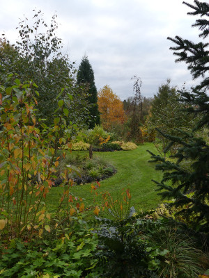 2021-10-23 Birkenhain 2.jpg