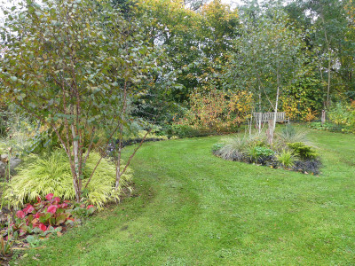 2021-10-23 Birkenhain 12.jpg