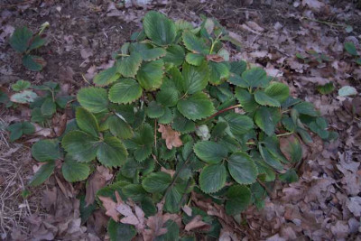 K640_100_4841.JPG
