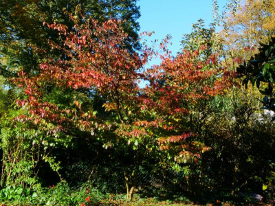 20211024_142605.jpg