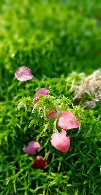 20211018_120931.jpg